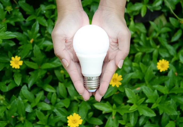 Spring Into Savings: How LED Lighting Can Reduce Energy Costs
