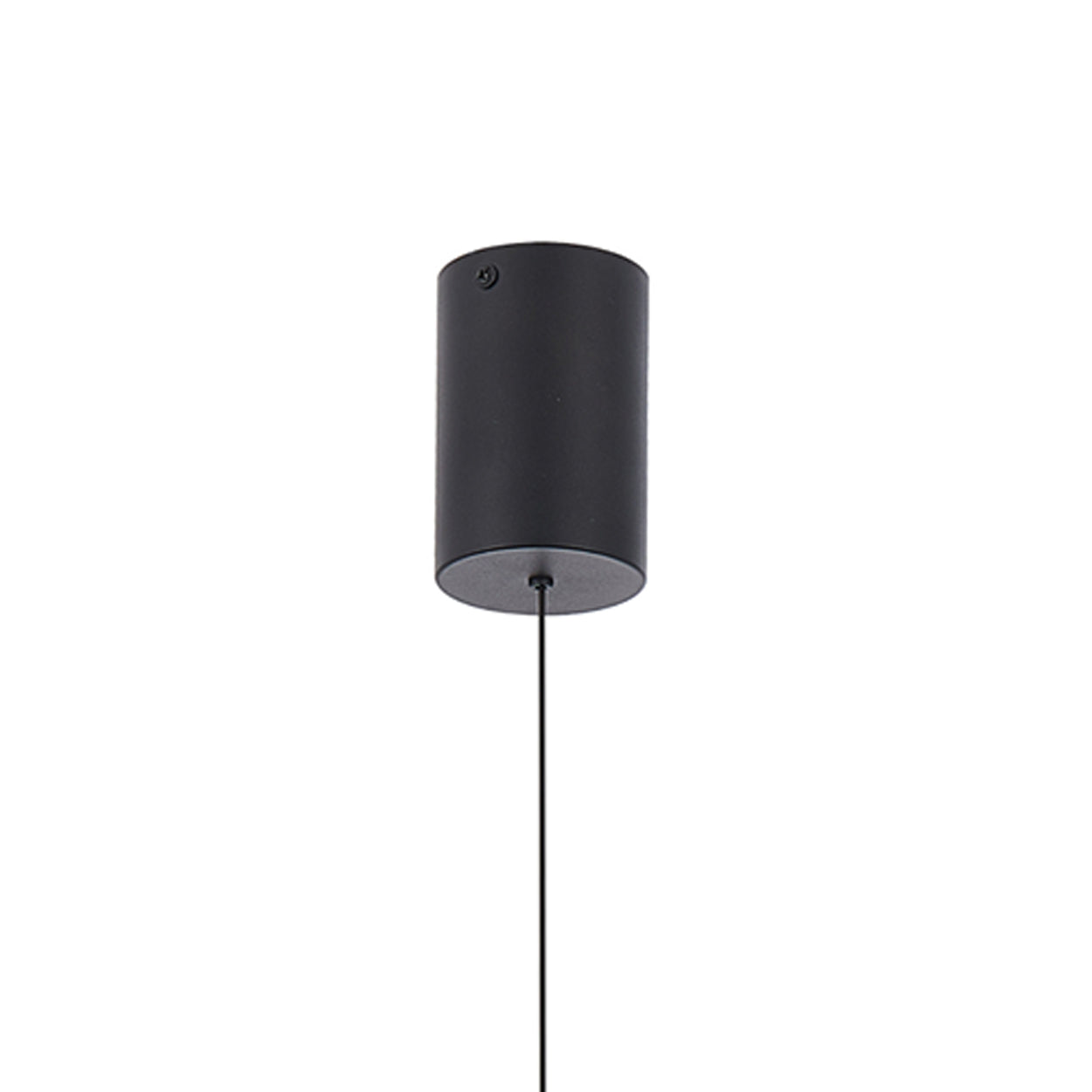 ANKUR ELISA METAL LED PENDANT LIGHT