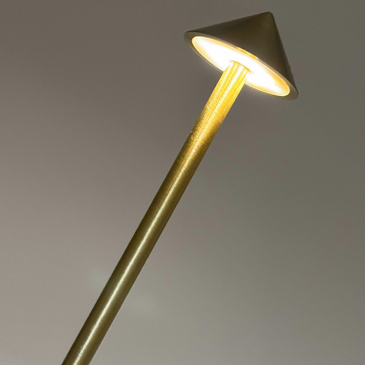 ANKUR UNPLUGGED WILLOW RECHARGABLE AND DIMMABLE LED DESK LAMP