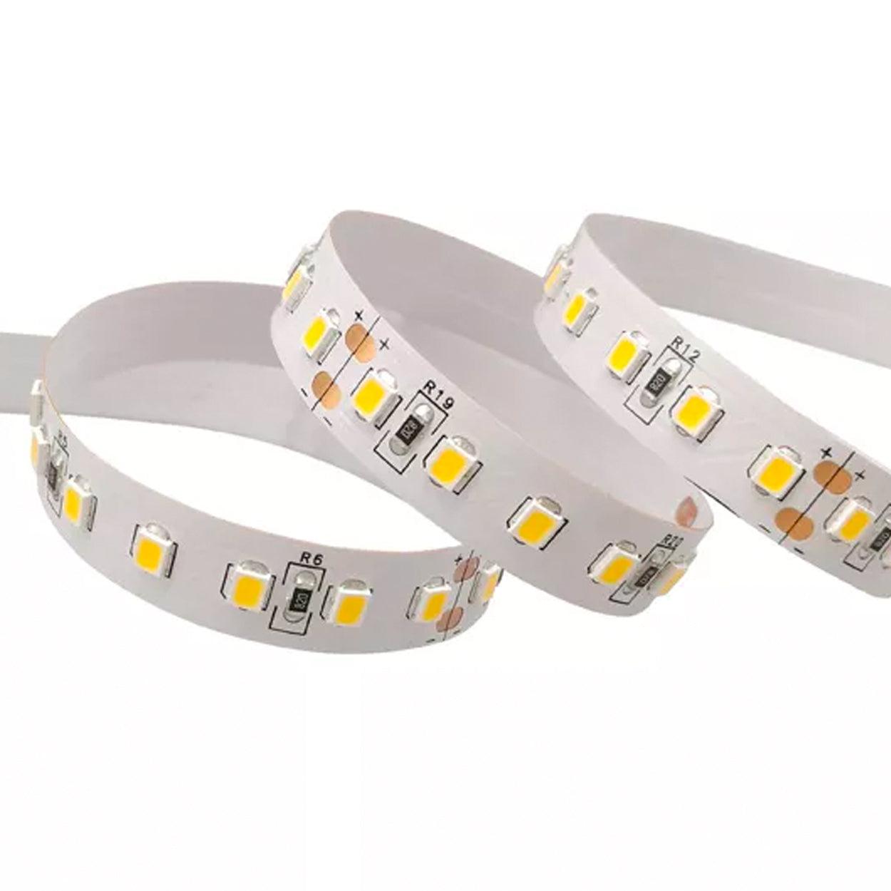 ANKUR NEON SILICON OUTDOOR IP65 RATED LED STRIP LIGHT (5 Meter Roll) at the  lowest price in India.