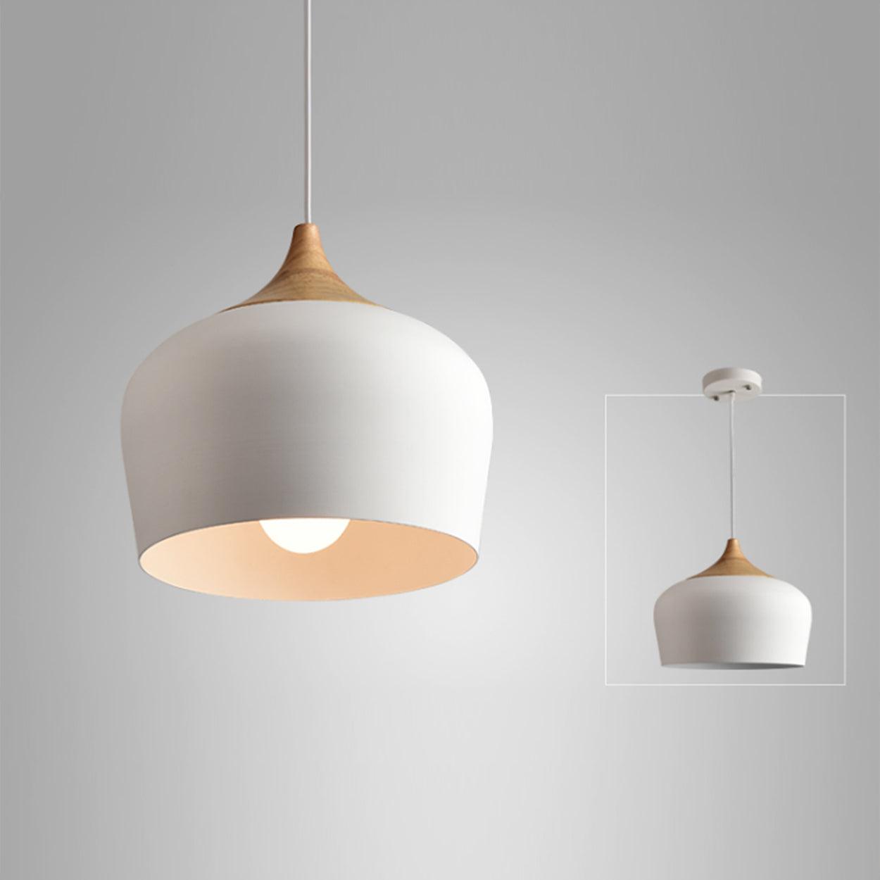 Modern Dome top Pendant light